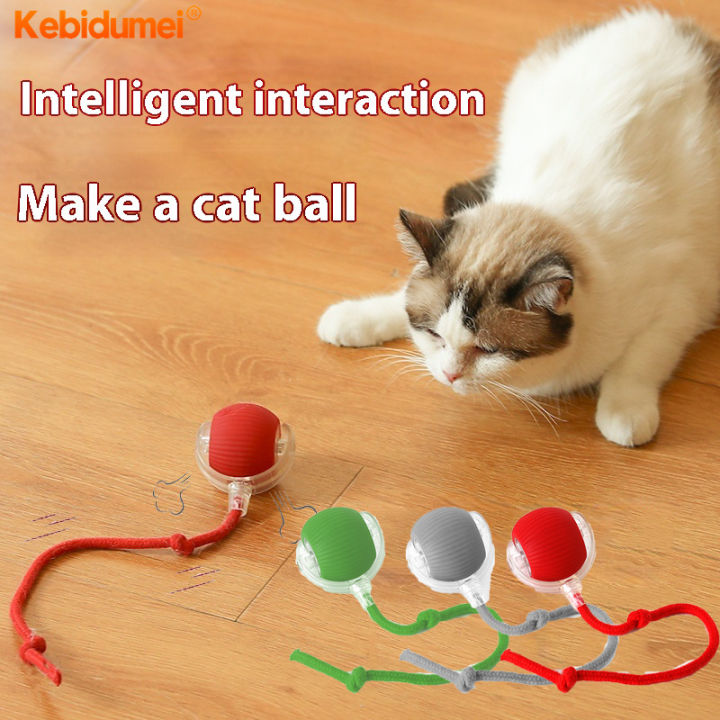 (local delivery) Kebidumei Interactive Cat Toy Ball Super Drive Cat Rolling  Balls Motion Activated Sensor Pet Kitten Teaser Game Toys Lazada PH