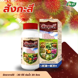 สังกะสี ป้องกันใบแก้ว ใบลาย เพิ่มแตกตา ต้นสมบูรณ์ ป้องกันการขาดสังกะสี ปุ๋ยน้ำทางใบ ปุ๋ยยา 1 ลิตร