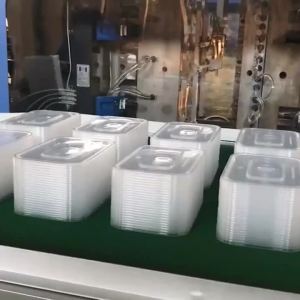 Business Plastic Thickened Square Meal Box