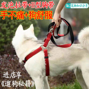 Dog Hand Holding Rope Foam Sling + H-Type Chest Strap Small Dog Large Dog Medium-Sized Dog Dog Leash Chain Golden Panda
