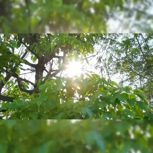 ZEROONE Pelindung Penutup Depan Kaca Mobil Car Accesoris Penahan Suhu Anti Panas Kabin Dashboard Sun Shield Pelindung Sinar Matahari Alumunium Foil Premium