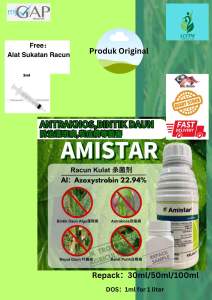 Racun Kulat Amistar/ Pokok/Racun Kulat Putih