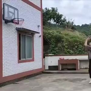 Indoor home adult standard student basketball stand home basketball board outdoor training adult basketball stand wall-mounted shooting