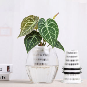 Meili Hydroponic Basket Planting Device Hydroponic Root Fixing Device Hydroponic Planting Cup Hydroponic Plant Deepening Plastic Hydroponic Flowerpot