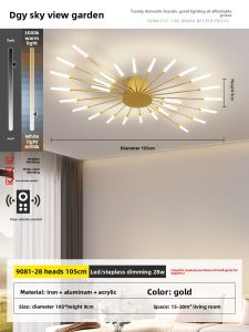 DGY | Modern Minimalist Creative Firework Design Living Room Ceiling Light