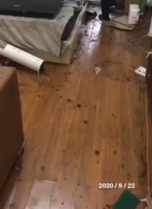 No insects for 10 years.Insecticide Fumigant .杀虫烟剂.25 g/piece (Buy 1 Free 1).insect repellent Kills cockroaches bed bugs ants mosquitoes flies.灭蟑螂药 .除苍蝇蚊子