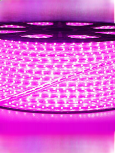 Ultra-Bright LED SMD Strip Light Purple Pink 3014/2835 Bar KTV Ceiling Stage Counter Top Silicone Material Non-Smart Control