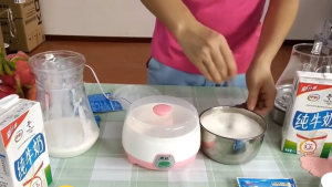 TaffHOME Mesin Pembuat Yogurt Otomatis Portable 1L Elektrik Cimory Maker Temperature Control 15 Watt