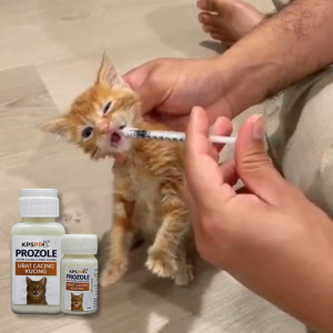 KPSPro Cat Dewormer Oral Suspension
