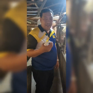 100ml Boar Odorant Heat Detection Spray na Walang Aktwal na Barako boar odor spray viddavet hog mate boar odor spray