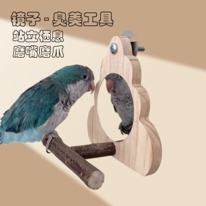Wooden Perch Mirror Stand for Parrots Bird Toy Mouth And Claw Grinding Stick Mirror Surface Parrot Entertainment Stick