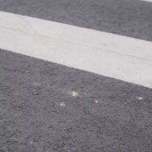 Menggosok Tepat Tabung Pendek Sabuk Ketat Sepatu Boots Wanita Import Premium Bots Premium Quality Fashion Boot Terkini Korean Style Sneakers