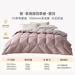Loose down Comforter Duvet Core Goose down A-Class Anti-Flea 1.8m Bed Double Seasonal Spring Autumn Summer Quilt Coverlet