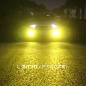 (Dikirim Dari Jakarta) 2 Buah Set Lampu LED Mobil H8 3030 100W Lampu Terang Berkendara Kabut Super Terang Putih 100 Watt Lampu Foglamp Led Bulb Cahaya Running Daytime 20 SMD