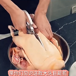 Stainless steel large-headed chicken bone scissors kitchen-specific chicken duck and fish scissors household multi-functional strong thickened large scissors