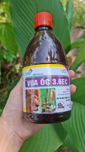 [THIEN THINH SHOP] SIÊU ỐC VÀ VUA ỐC 3.6EC ( ABAMECTIN 3.6% ) TRỪ SÂU HẠI TRÊN CÂY TRỒNG HỖ TRỢ DIỆT ỐC BƯU VÀNG TRÊN RUỘNG LÚA CHAI 450ML