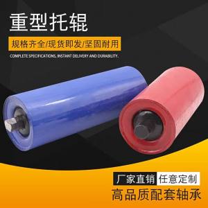 Heavy Duty Dust-Proof Waterproof Conveying Roller