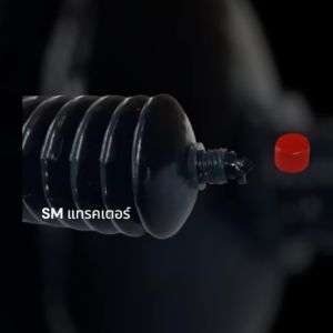 จารบีหลอดตัวหนอน 1 หลอด AE เบอร์ 2 ขนาดหลอดละ 400 กรัม