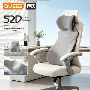 QUEES | Ergonomic Back Support Pillow