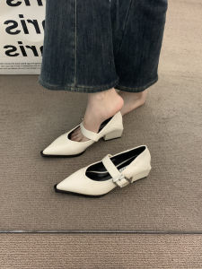 French Elegant Pointed Toe Deep Brown Mary Jane Womens Shoes Spring Autumn Commute High Heel Fashionable Small Leather Shoes