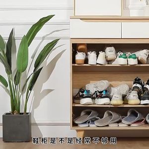 Rak Sepatu Susun Plastik Rak Penyimpanan Sepatu Double Layer Organizer Sepatu Serbaguna