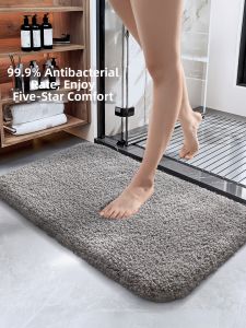 Water Absorbent Slip Resistant Antibacterial Door Mat