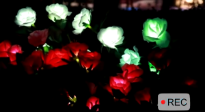 Lampu Taman Solar Mawar IP65 LED  3 Kepala aesthetic Lampu Dekorasi Outdoor untuk Halaman Jalan Setapak Otomatis Nyala Malam Lampu