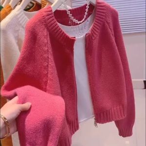 Short Korean Style Relaxed Fit Autumn New Style Knit Cardigan