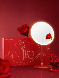 ASCINATE | Led Lighted Makeup Mirror