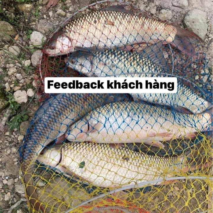 M%E1%BB%93i%20c%C3%A2u%20c%C3%A1%20Lk%20H%C3%B2a,%20Th%C3%ADnh%20Lk%20M%E1%BB%93i%20c%C3%A2u%20c%C3%A1%20ch%C3%A9p%20tr%E1%BA%AFm%20tr%C3%B4i%20r%C3%B4%20phi%20si%C3%AAu%20nh%E1%BA%A1y%20-%20Image%203