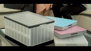 GINTELL Eracare Multi-Purpose Crate Storage Box (Set of 3)