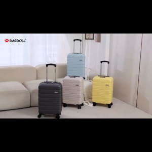 Ragdoll - Flow Series Hardcase Cabin Luggage (20")