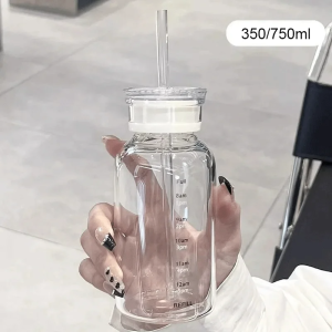 Bình Nước Thủy Tinh Trong Suốt Có Nắp Và Ống Hút 350/750ml Cốc Cà Phê Du Lịch Thân Thiện Với Môi Trường Cốc Trà Sữa Dành Cho Người Lớn Bình Nước Có Vạch Chia Thời Gian