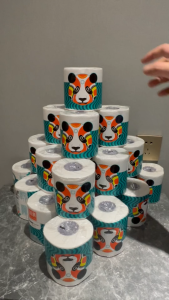 【10 Rolls】RoyoPanda Tissue Toilet Tissue Facial Tissue 4Ply Thicked Ultra Soft Premium Household Napkin Tissue Bamboo10Rolls