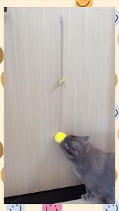 Pet Sounding Plush Toys Cat Dog Interactive Squeaky Chew Ball Teething Toy Electric Cat Teasing Toy