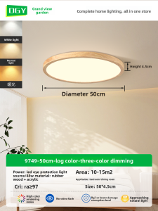 DGY | New Style LED Japanese Style Ceiling Light