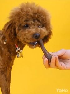 VDขนมขัดฟันหมา กระดูกขัดฟัน ขนมหมา ขนมขัดฟันสุนัข ทําความสะอาดฟัน ขนมแท่งรูปกระดูก พกพาไปได้ทุกที่