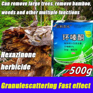 Hexazinone Root Removal: Fast & Effective Tree & Bamboo Killer