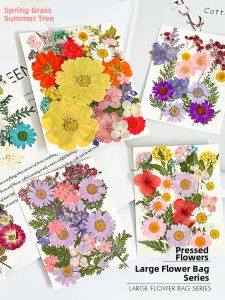 Dried Flower DIY Materials Kit Real Flower Specimen