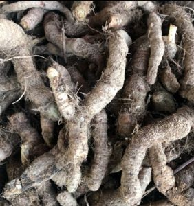 1kg củ tứn khửn tốt cho phái mạnh