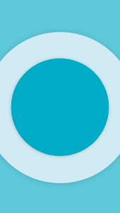 Cotton Stuff - 3-piece Fitted Blouse (Safari - Girl)