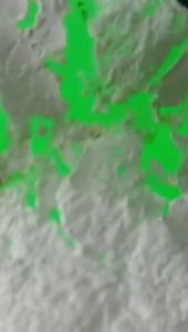 Batu Bacan Doko Campur Palamea: Paket Isi 8pcs/9pcs/10pcs & 12pcs/13pcs/14pcs