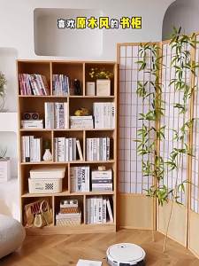 Multi-level Living Room Bedroom Storage Shelf