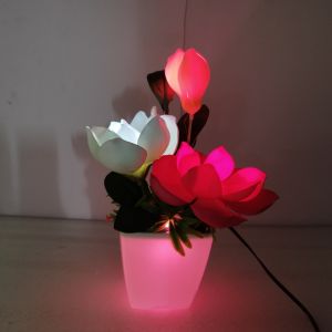 Hoa Mộc Lan Trang Trí - Mộc Lan 3 Nhánh Phát Sáng