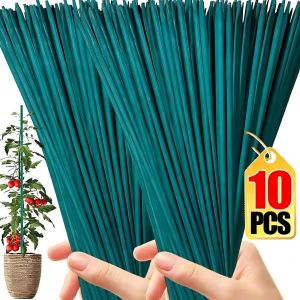 10Pcs Reusable Plant Support Rod Plant Stake Vine Climbing Bracket for Potted Plant DIY Handmade Flower Bouquet Stick Garden Supply