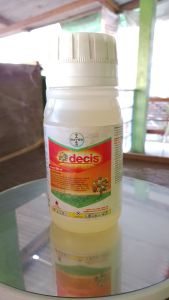 decis 250ml insektisida