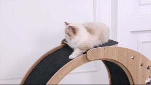 GREENPETS Cat Treadmill Pet Running Wheel Silent runway Wooden Toy Pet Weight Loss Solid Roller Pet Exercise