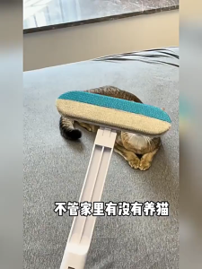 แปรงขนแมว 4 in 1 - ทำความสะอาด กำจัดขนสัตว์เลี้ยง - สำหรับเฟอร์นิเจอร์/เสื้อผ้า CW127