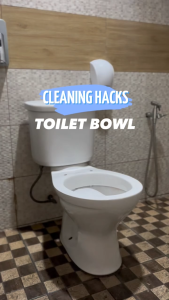 Tiles and Toilet Bowl Cleaner Gallon | Toilet Bowl Disinfectant | Sink Cleaner | HOSPECO