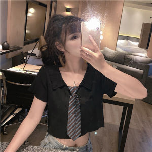 Áo Thun Dệt Kim Tay Ngắn Ôm Vừa Vặn Phong Cách Hàn Quốc Mùa Hè 2024 Áo Thun Cổ Bẻ Tay Ngắn Cho Nữ